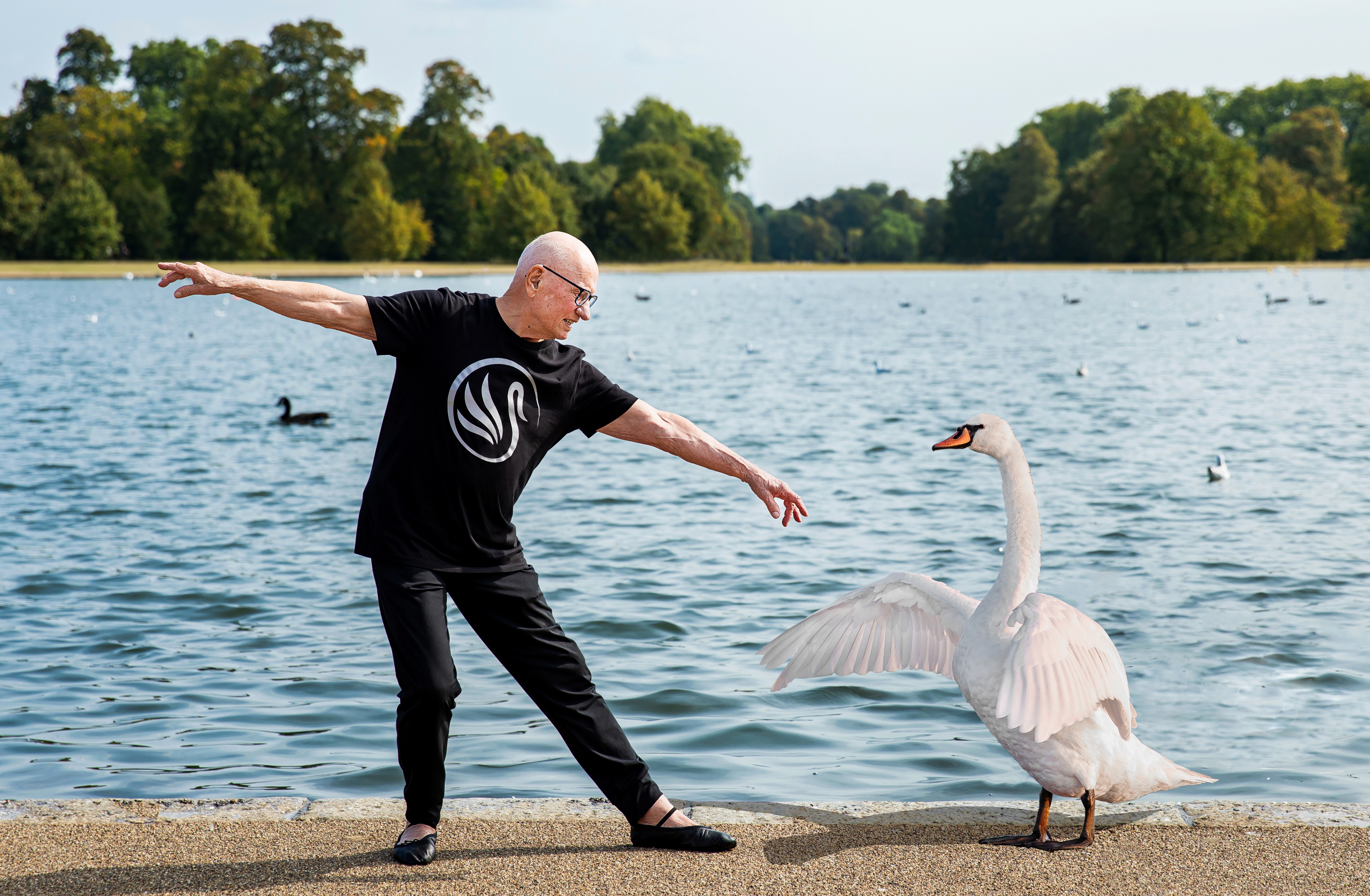 An older man does a ballet pose next to swan with a lake in the background