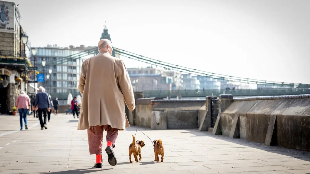 A man walks two small dogs down a path with a city in the background